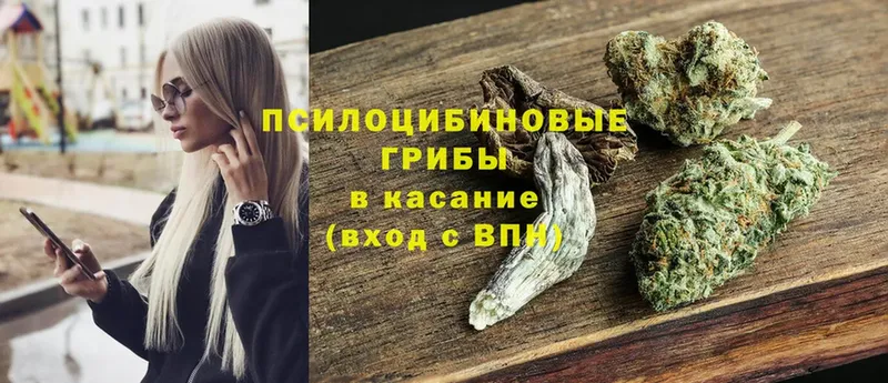 купить наркоту  Опочка  Галлюциногенные грибы MAGIC MUSHROOMS 